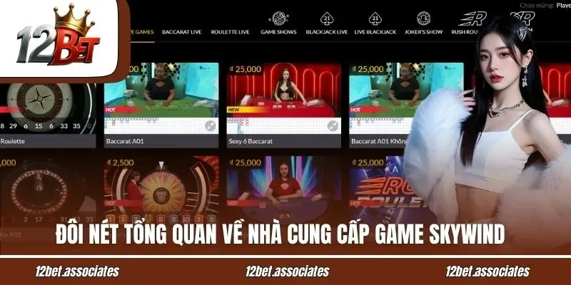 Đôi nét tổng quan về nhà cung cấp game Skywind 